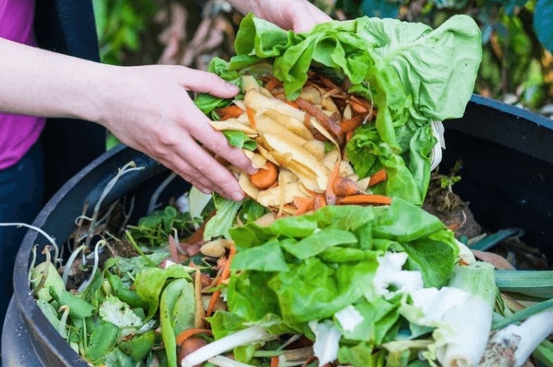 Compostage des déchets organiques végétaux