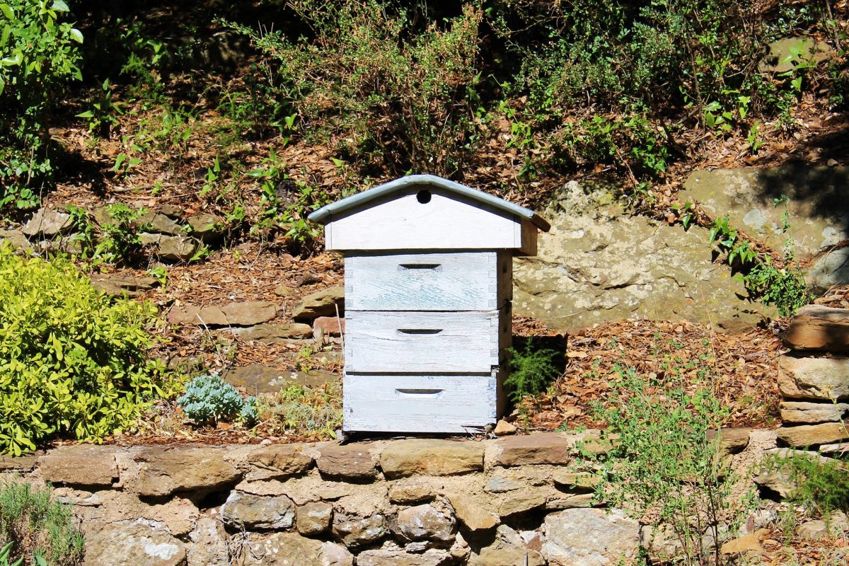 Une ruche dans un jardin écologique.