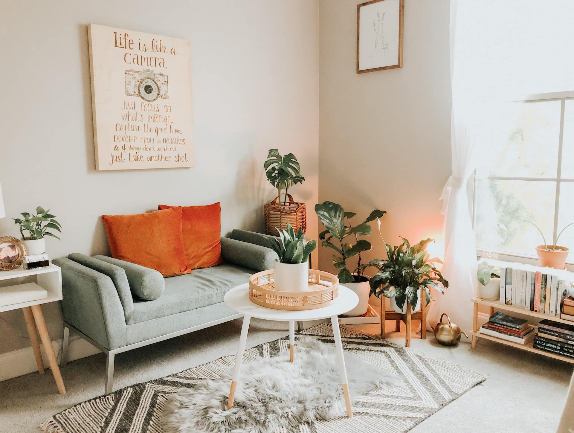 Plantes en pot dans un salon contemporain